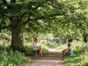 Baum als Schattenspender